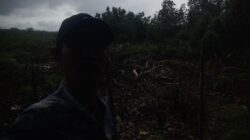 Bongkar Sawit Ancam Ekosistem Mangrove, Masyarakat Desa Kamewangi Terlibat
