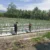 Babinsa Koramil 1505-02/Wasile, Dampingi Petani Cabai: Dorong Peningkatan Produksi Pertanian