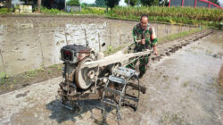 Turun Ke Sawah, Babinsa Bendogerit Bantu Siapkan Lahan Petani