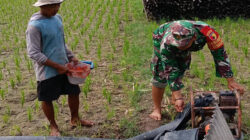 Jaga Tersedia Air, Babinsa Kendalrejo Dampingi Pengaliran Pompa Air Pok Tani Sari Murni