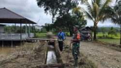 Babinsa Koramil Haruai Pantau Saluran Irigasi Desa Pangelak untuk Ketahanan Pangan