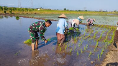 Koramil Wonoasih Dampingi Petani Sukseskan Gerakan Antisipasi Pangan Nasional