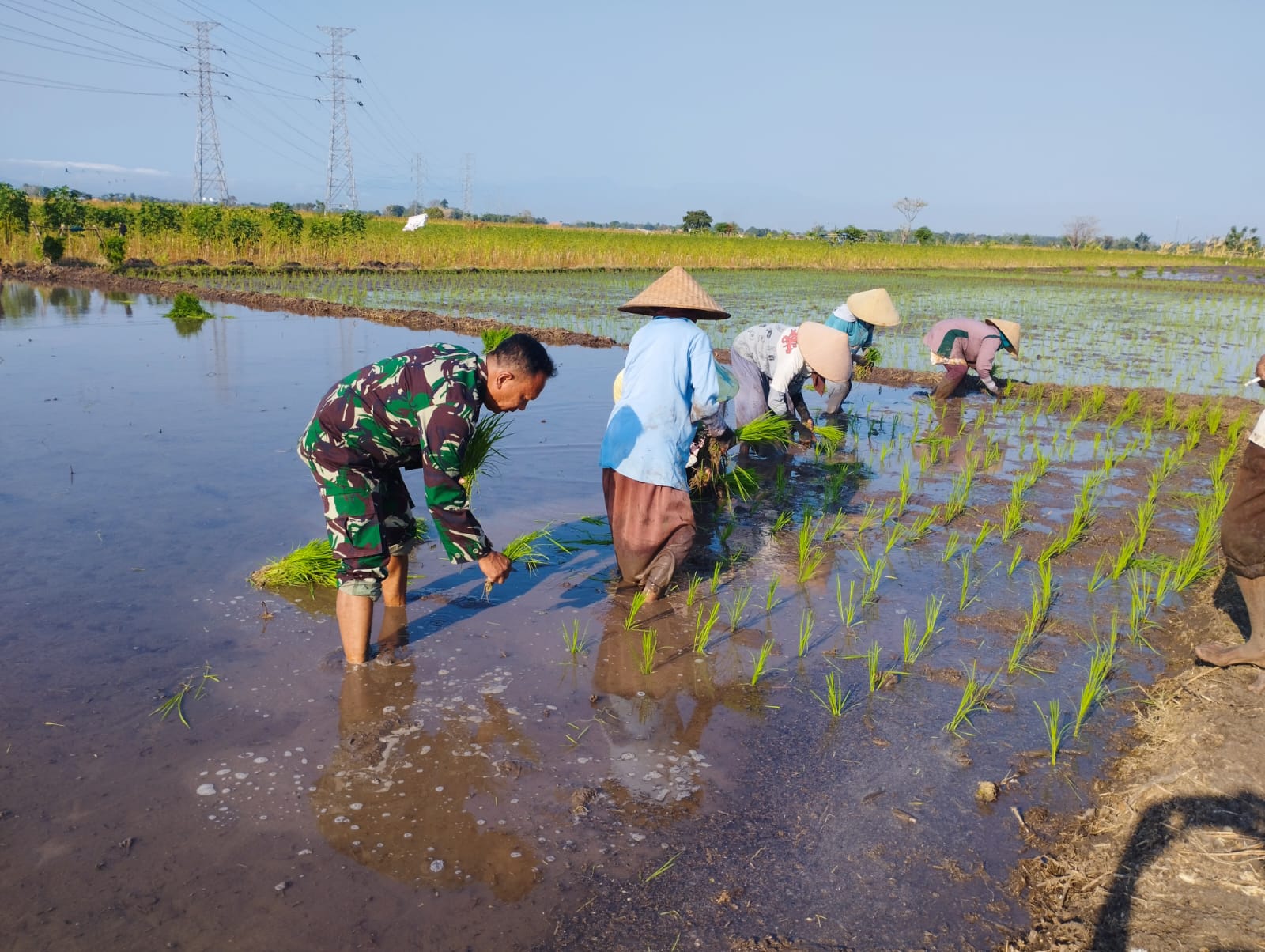 Koramil Wonoasih Dampingi Petani Sukseskan Gerakan Antisipasi Pangan Nasional