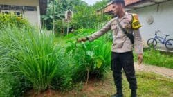 Bhabinkamtibmas Desa Cibadak, Laksanakan Pendataan Halaman Lestari untuk Ketahanan Pangan