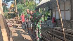Sinergi TNI Bersama Rakyat, Babinsa Ampelgading Bantu Renovasi Rumah Warga