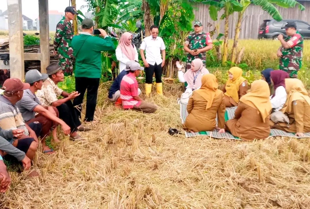 Babinsa Kembangbilo Koramil 0811/01 Kota Tuban Bersama Bulog Wire Tuban Sosialisasikan Serap Gabah Petani