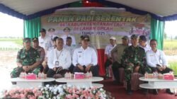 Dandim 1009/Tanah Laut Hadiri Panen Raya Padi di Bumi Makmur