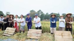 Wamendagri Bima Arya Tekankan Kemandirian dan Ketahanan Pangan dalam Panen Raya di Bogor