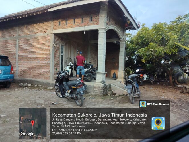 Sabung Ayam dan Dadu Marak di Sukorejo, Penegak Hukum Dinilai Tumpul ke Atas Sabung Ayam dan Dadu Marak di Sukorejo, Penegak Hukum Dinilai Tumpul ke Atas