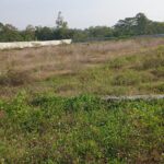 Pejabat Kepala Desa Jadi Makelar Tanah, Warga dan Perusahaan Dirugikan