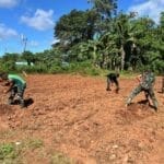 Dari Lahan Kosong Menjadi Harapan: TNI Dorong Kemandirian Pangan di Perbatasan