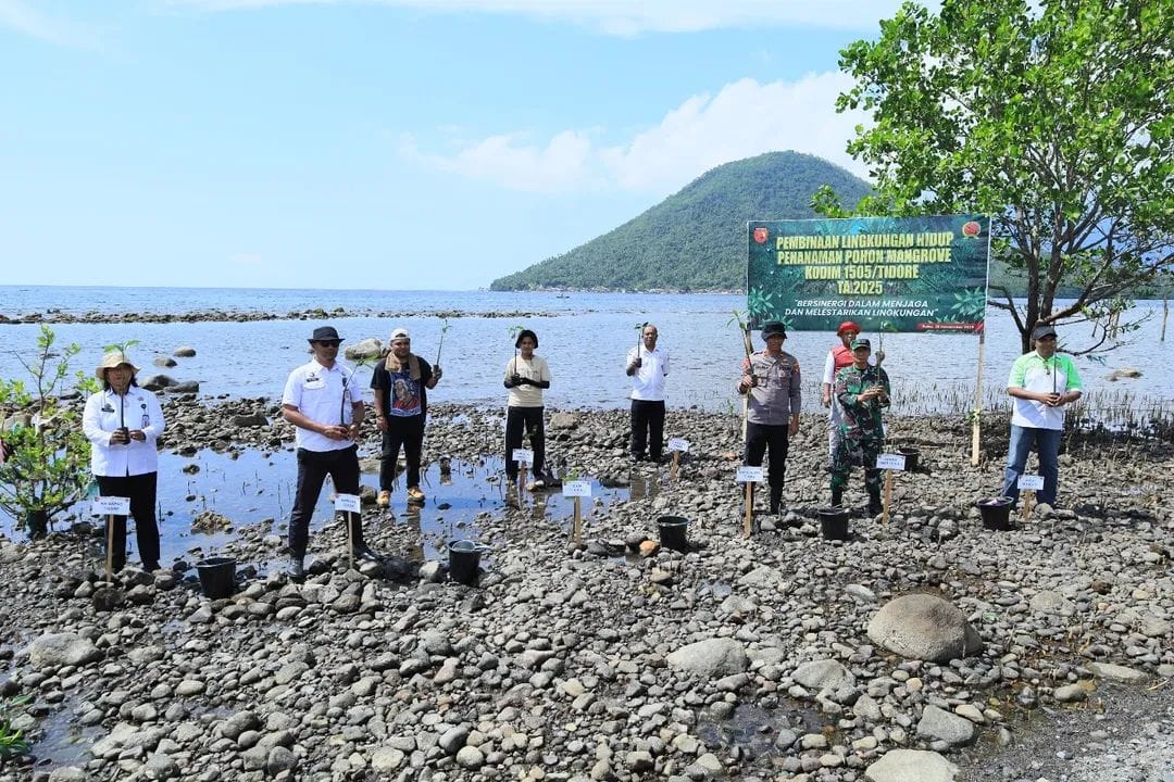Wujud Kepedulian pada Kelestarian Lingkungan, Kodim 1505/Tidore Gelar Penanaman Mangrove Wujud Kepedulian pada Kelestarian Lingkungan, Kodim 1505/Tidore Gelar Penanaman Mangrove