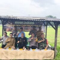 Penyerapan Panen Jagung Hibrida Kuartal III Desa Sukadamai Disalurkan ke Bulog Tangerang