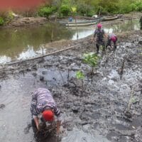Koarmada III Hadir untuk Rakyat Pesisir: Baksos, Layanan Kesehatan, MBG, dan Penanaman 1.000 Mangrove Meriahkan HUT Armada RI 2025
