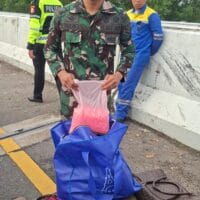 Gerak Cepat Tanggapi Laporan Babinsanya, Dandim 0411/KM Amankan Puluhan Ribu yang diduga Narkoba