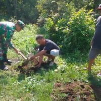 Jaga Kelestarian Lingkungan, Babinsa Gogodeso Bersama Warga Tanam Pohon Keras