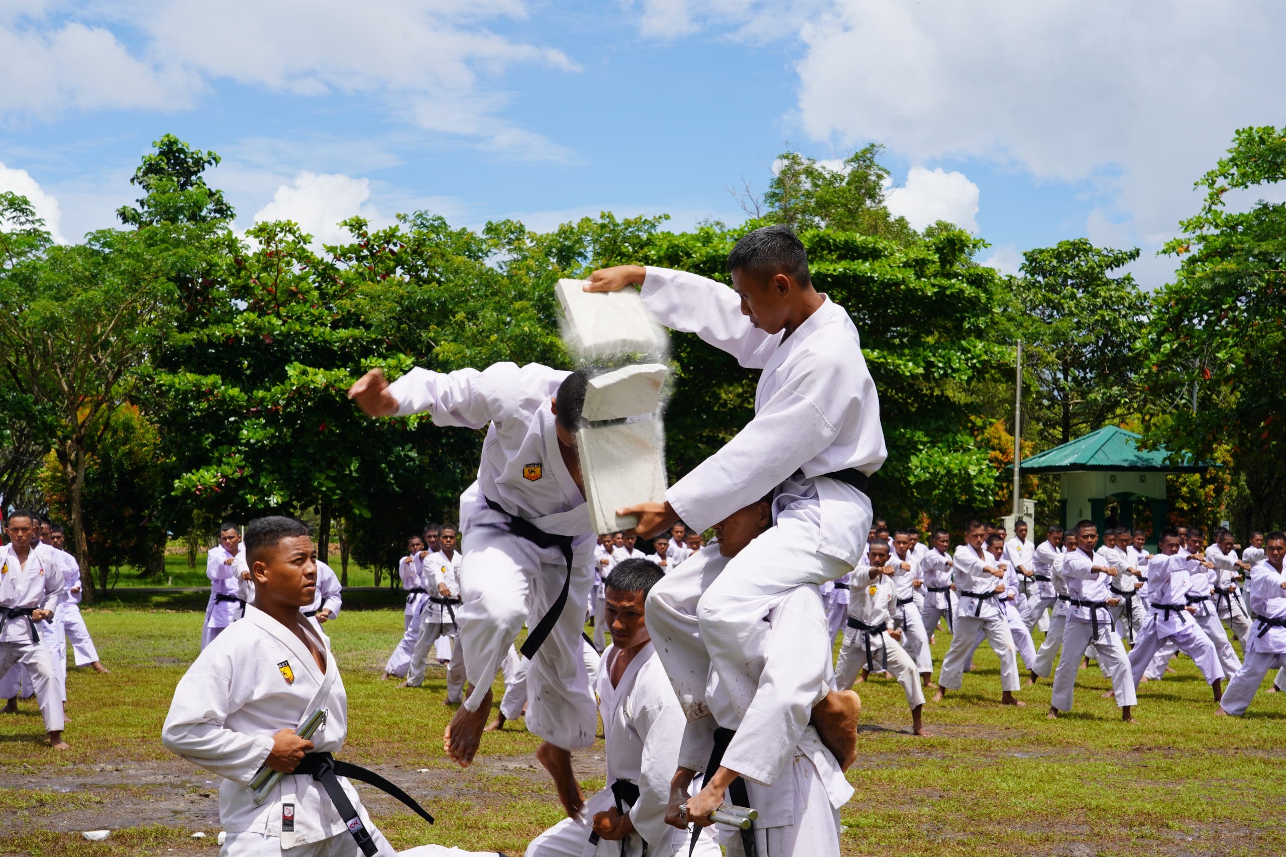 1.683 Prajurit Kodam XXIV/MT Raih Sabuk Hitam, Pecahkan Rekor MURI