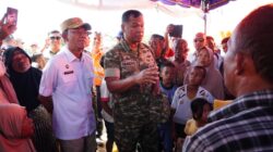 Wakil Panglima TNI Tinjau Wilayah Terdampak Banjir di Sumut dan Sumbar