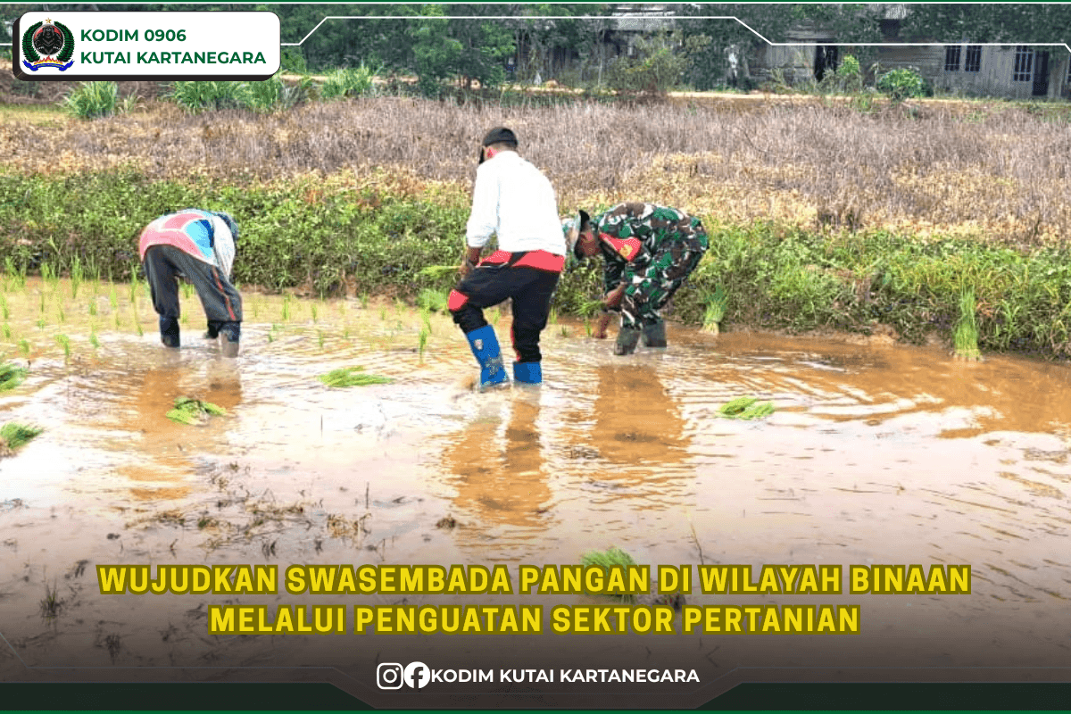 Wujudkan Swasembada Pangan di Wilayah Binaan Melalui Penguatan Sektor Pertanian