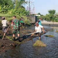 Maksimalkan Pasokan Air Pertanian, Babinsa Karangsari Dan Poktan Margomulyo Bersihkan Saluran Irigasi