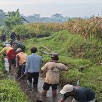 Optimalkan Pasokan Air Sawah, Babinsa Turun Tangan Bersihkan Saluran Irigasi