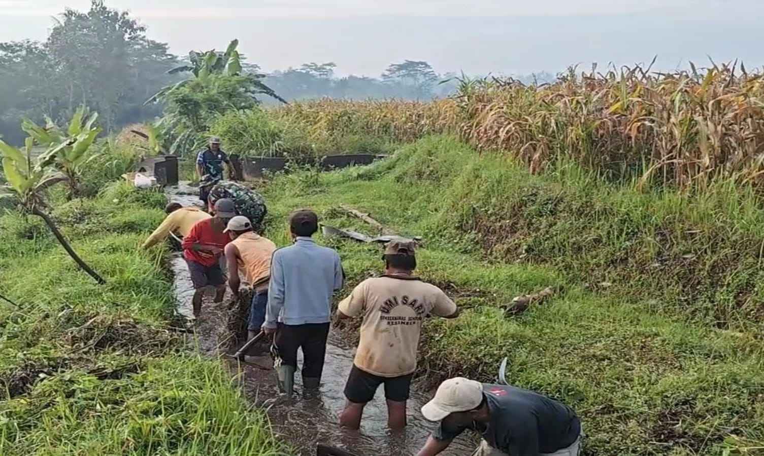 03 Optimalkan Pasokan Air Sawah, Babinsa Turun Tangan Bersihkan Saluran Irigasi