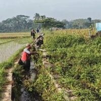Bersihkan Saluran Irigasi Sawah, Sertu Yudha Gotong Royong Bersama Warga Desa Ngreco
