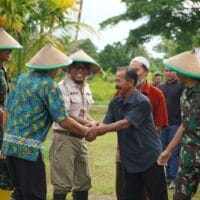 Yonif TP 806/SI Bersama Forkopimda Kab. Sorong Laksanakan Panen Padi : Sinergi TNI dan Pemda, Perkuat Ketahanan serta Kemandirian Pangan