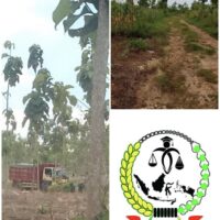 Siapa Melindungi Tambang Ilegal Tuban? Pertanyaan yang Dijawab dengan Diam