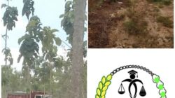 Siapa Melindungi Tambang Ilegal Tuban? Pertanyaan yang Dijawab dengan Diam