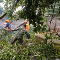 Anggota Koramil 0808/06 Srengat Bersama Warga, Polsek Dan BPBD Gotong Royong Bersihkan Pohon Tumbang Di Desa Purwokerto