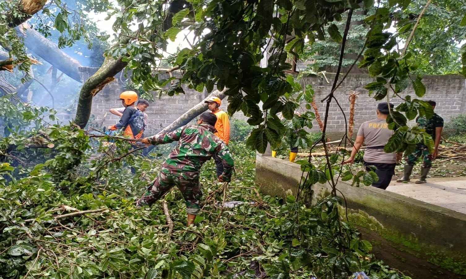 Anggota Koramil 0808/06 Srengat Bersama Warga, Polsek Dan BPBD Gotong Royong Bersihkan Pohon Tumbang Di Desa Purwokerto