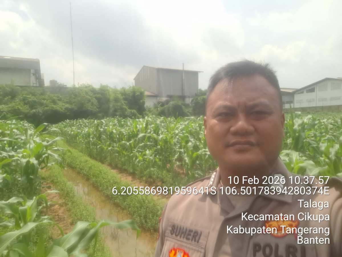 Bhabinkamtibmas Desa Talaga Laksanakan Kontrol Lahan Jagung, Dukung Program Ketahanan Pangan