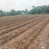 Bhabinkamtibmas Polsek Cikupa Lakukan Pengecekan Penanaman Jagung Hibrida Program 1 Desa 2 Hektare Kwartal I 2026