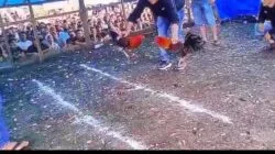 Arena Judi Besar di Bahodopi Diduga Berjalan dengan Pembiaran Sistematis