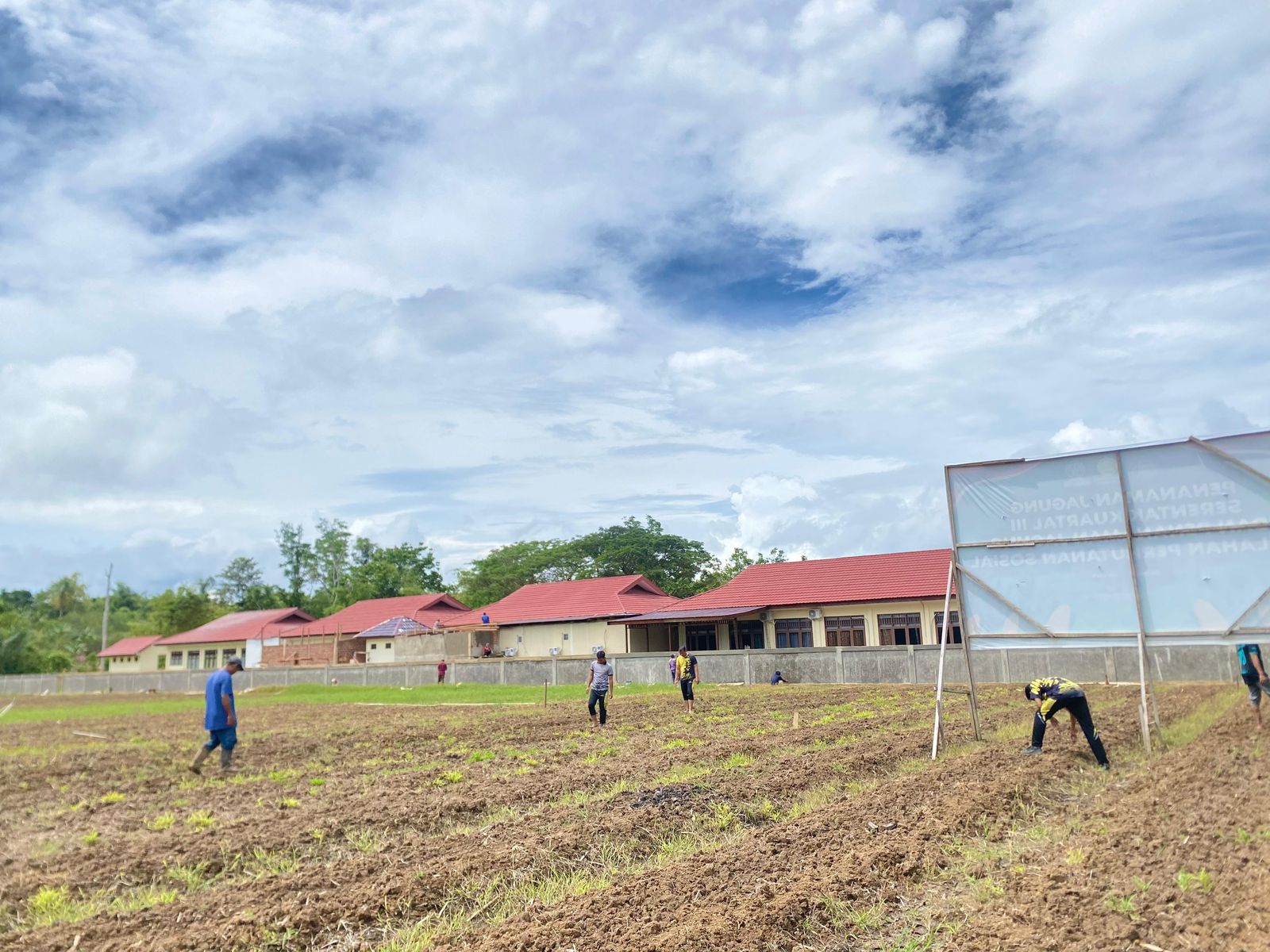 Penanaman Jagung Pipil di Lahan Polda Papua Barat Daya Penanaman Jagung Pipil di Lahan Polda Papua Barat Daya