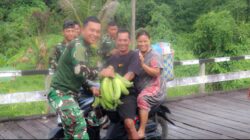 Wujud Syukur Warga, Helius Serahkan Pisang Tanduk kepada Personel TMMD di Tering Lama