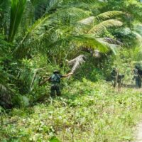 TMMD Ke-127 Kodim 1804/Kaimana Terus Genjot Pembukaan Jalan Menuju Kampung Marsi