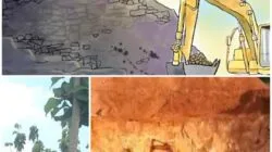 Tanpa IUP OP, Tambang Pasir Silika di Tuban Beroperasi Bebas, Aparat Diduga Tutup Mata