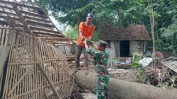 Gotong Royong TNI Dan Warga, Babinsa Kanigoro Bantu Bedah Rumah Tidak Layak Huni