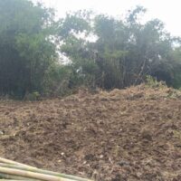 Polsek Cikupa Matangkan Persiapan Penanaman Serentak Jagung Hibrida Program 1 Desa 2 Hektare Kwartal I 2026