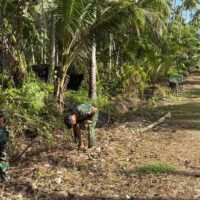TMMD Ke-127 Hampir Rampung, Satgas Kodim 1804/Kaimana Tuntaskan dan Bersihkan Pembukaan Jalan di Kampung Marsi
