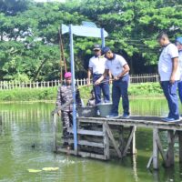 Pererat Sinergitas, Satgas Trisila 2026 dan Lanal Aru Gelar Olahraga Bersama, Penanaman Bibit Tomat, dan Penebaran Bibit Lele