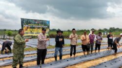 Bhabinkamtibmas Polsek Cikupa Hadiri Penanaman Jagung Hibrida Program 1 Desa 2 Hektare di Desa Bojong