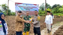 Bhabinkamtibmas Polsek Cikupa Hadiri Penanaman Jagung Hibrida Program 1 Desa 2 Hektare di Desa Sukanagara