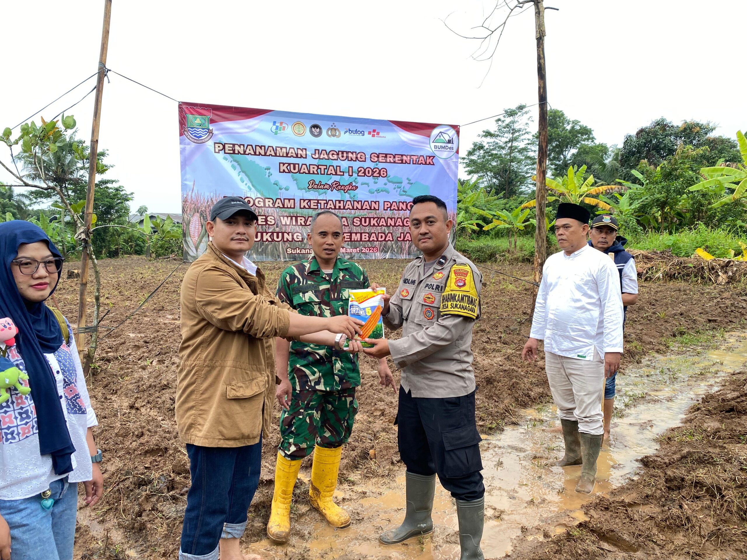 Bhabinkamtibmas Polsek Cikupa Hadiri Penanaman Jagung Hibrida Program 1 Desa 2 Hektare di Desa Sukanagara