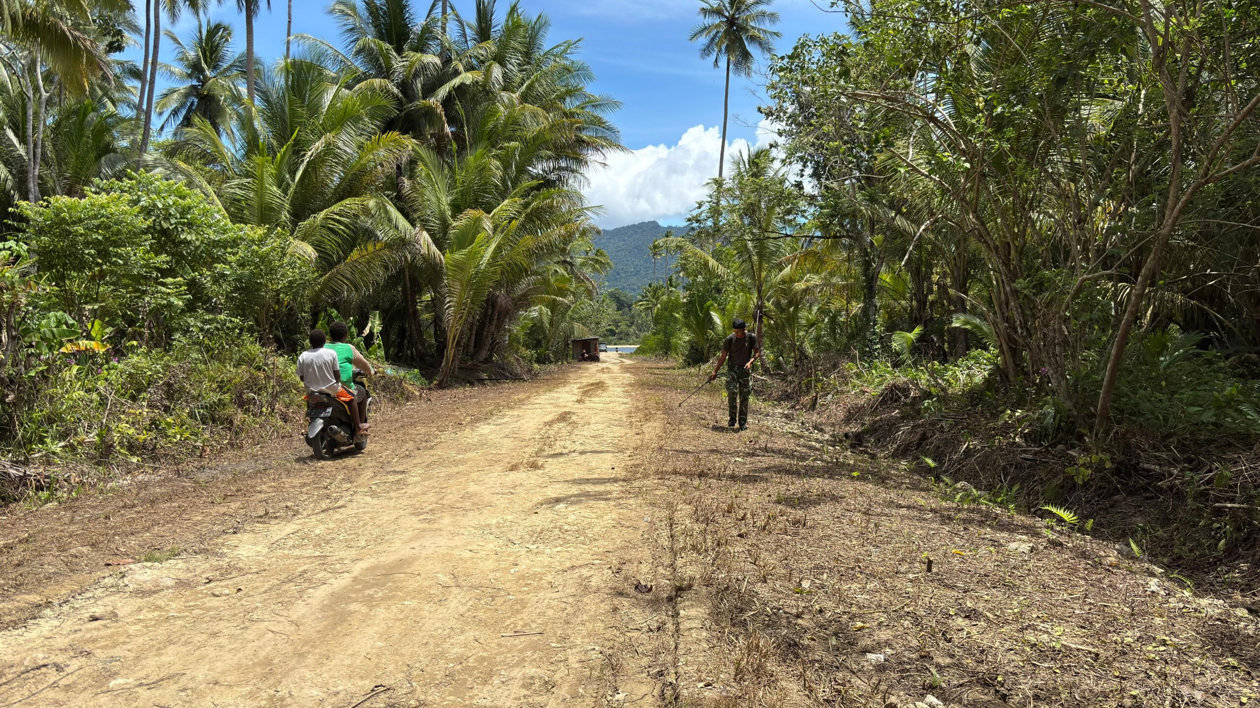 Penyemprotan Racun Rumput Percepat Pembukaan Akses Jalan Kampung Marsi