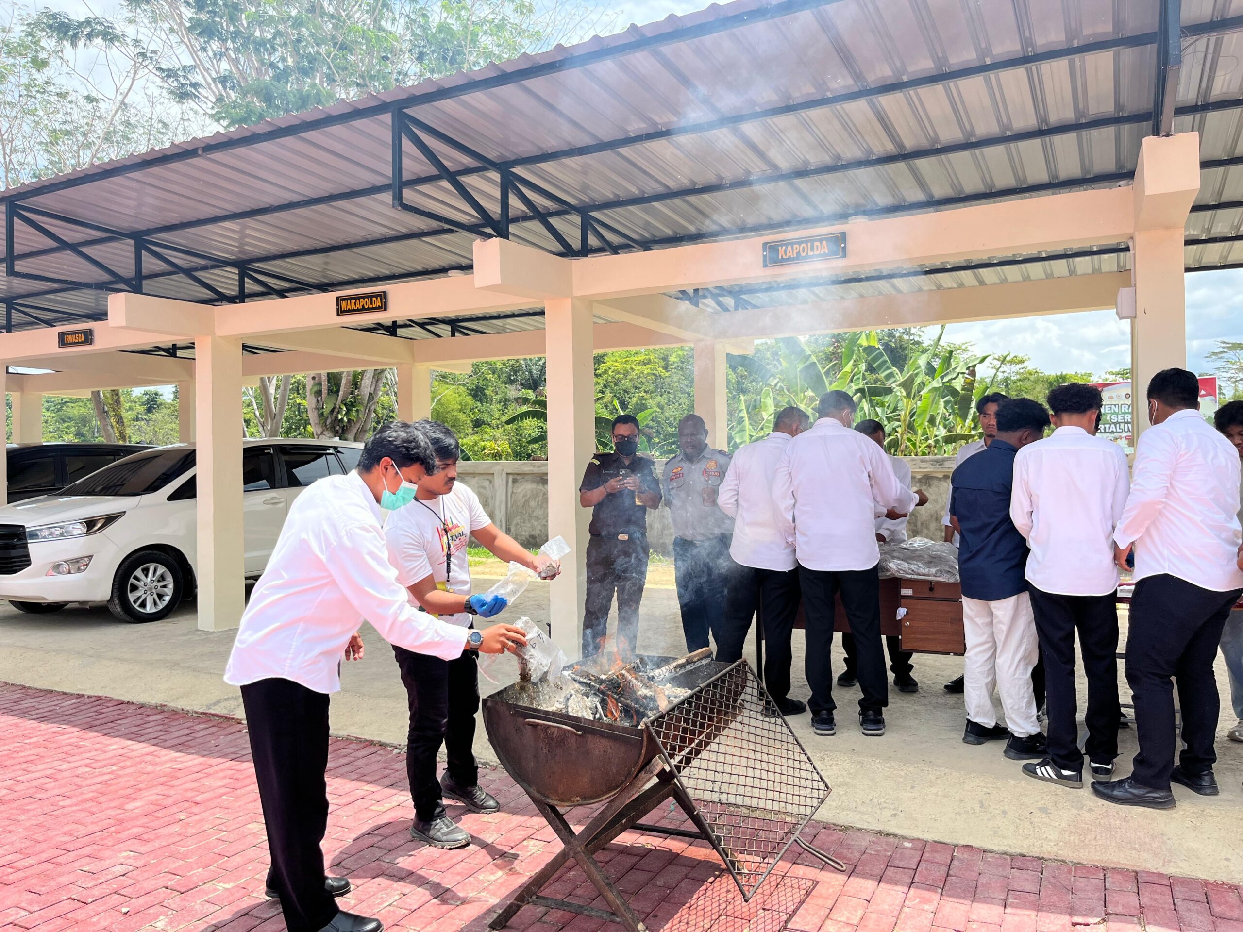 Komitmen Berantas Narkoba, Polda Papua Barat Daya Musnahkan 7,9 Kg Barang Bukti Ganja, Disaksikan Pejabat Terkait