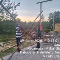 Peduli Warga Binaan, Babinsa Kodim 1505/Tidore Bantu Dirikan Tiang Rumah