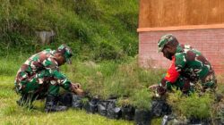 Kodim 1714/Puncak Jaya Bersama Rakyat Tanam Bibit Cemara Sebagai Generasi Mendatang Untuk Kabupaten Puncak Jaya